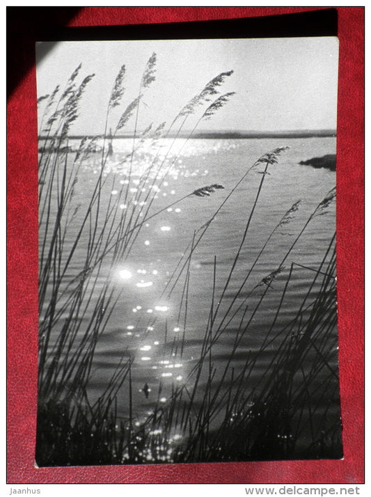 view of the lake - 1967 - Estonia USSR - unused - JH Postcards
