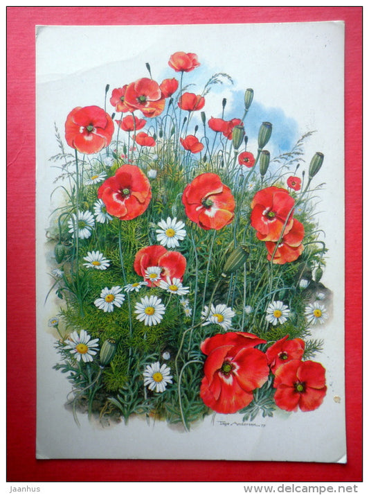 Greeting Card by Tage Andersen - poppy - daisy - flowers - 4027/4 - Finland - sent from Finland to Estonia USSR 1980 - JH Postcards