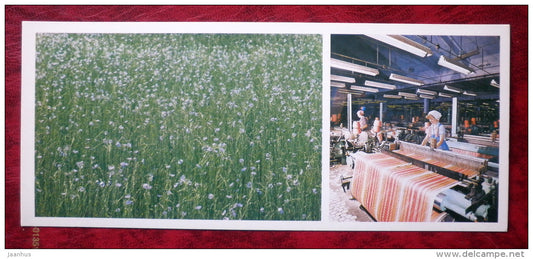 Velikiye Luki Cotton Mill - flowering flax - 1983 - Russia - USSR - unused - JH Postcards