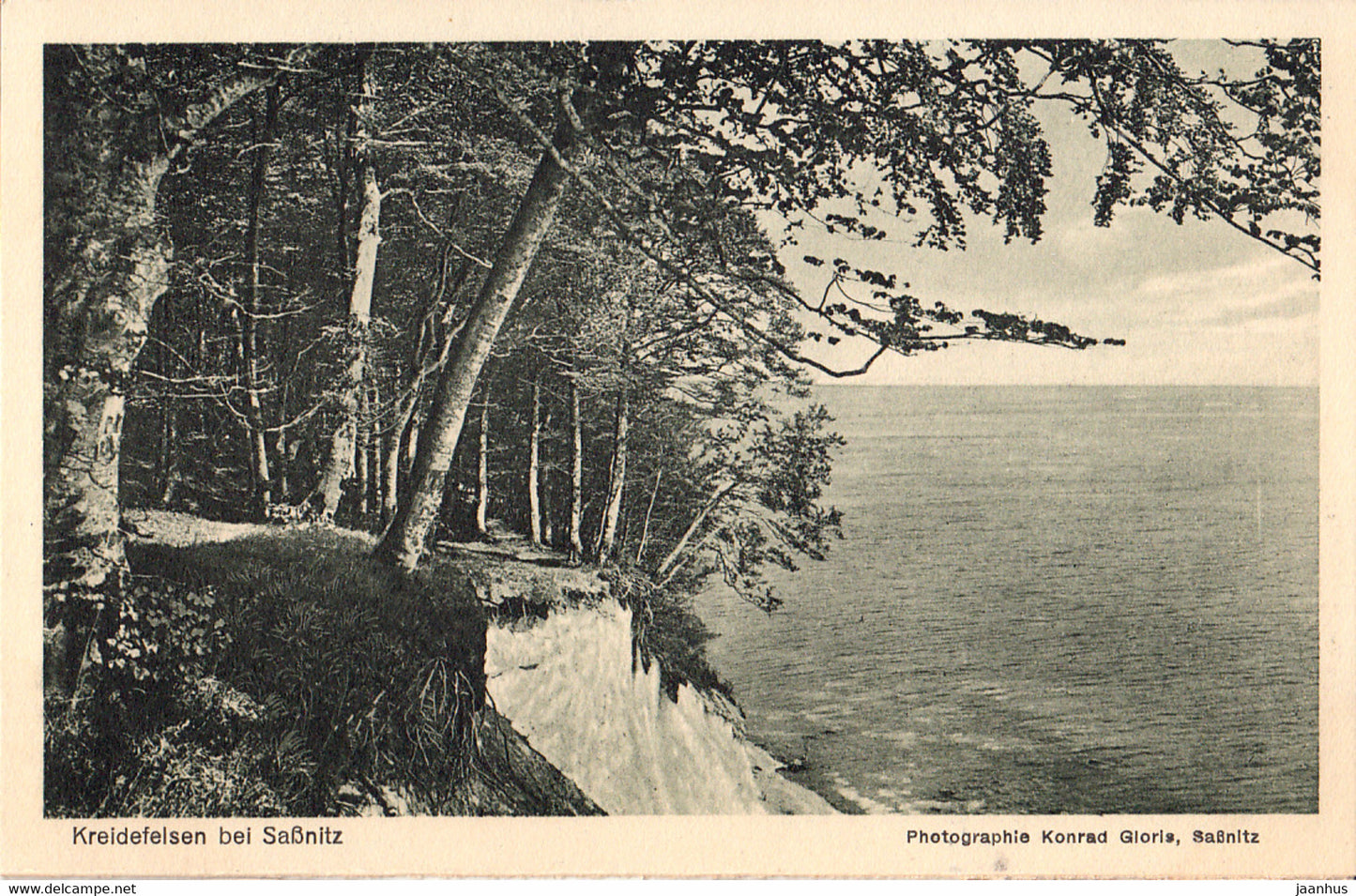Kreidefelsen bei Sassnitz - old postcard - Germany - unused - JH Postcards