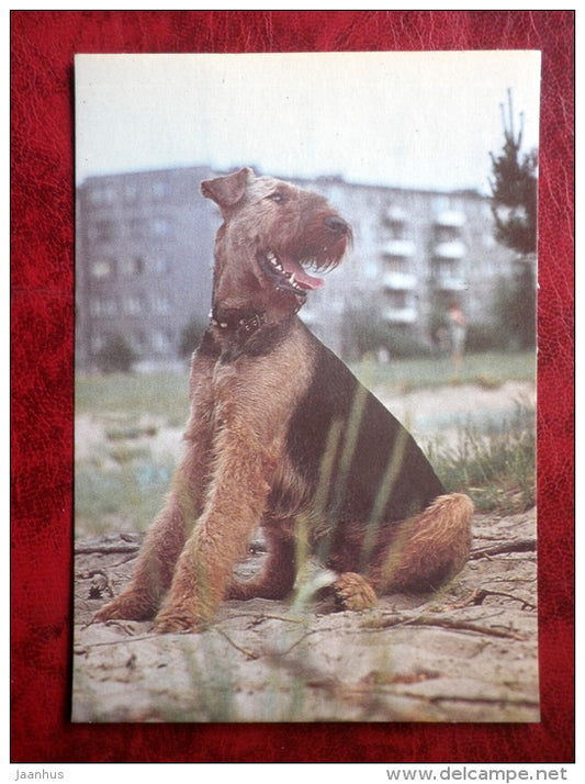 Airedale Terrier - dogs - 1987 - Estonia - USSR - unused - JH Postcards