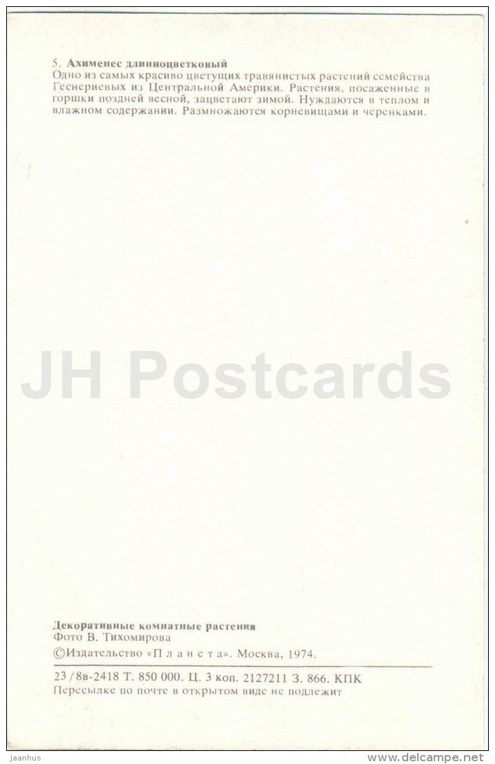 Achimenes - flowers - 1974 - Russia USSR - unused - JH Postcards