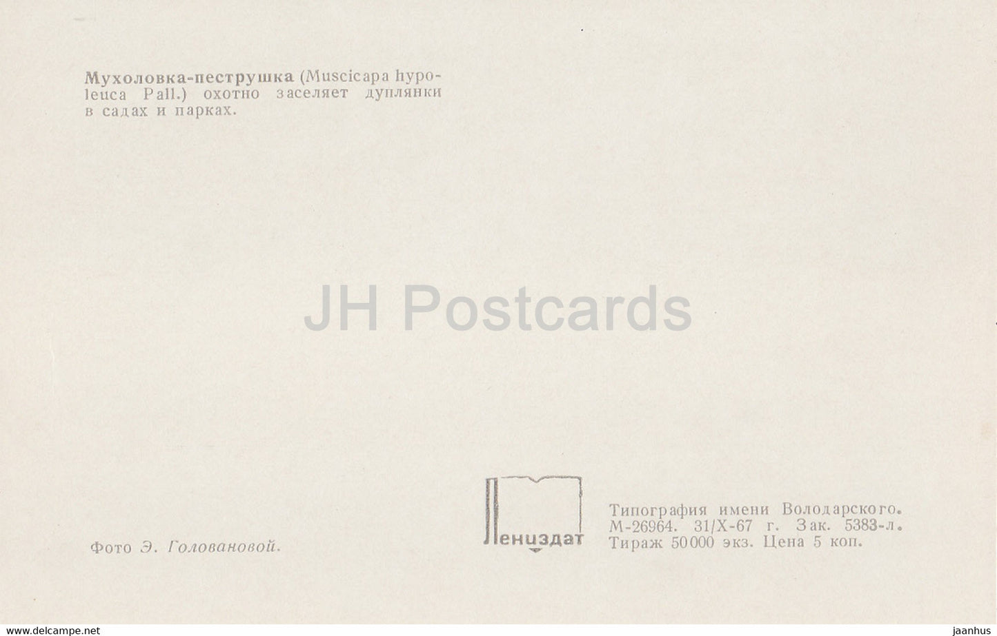 Europäischer Trauerschnäpper – Ficedula hypoleuca – Vögel – 1968 – Russland UdSSR – unbenutzt