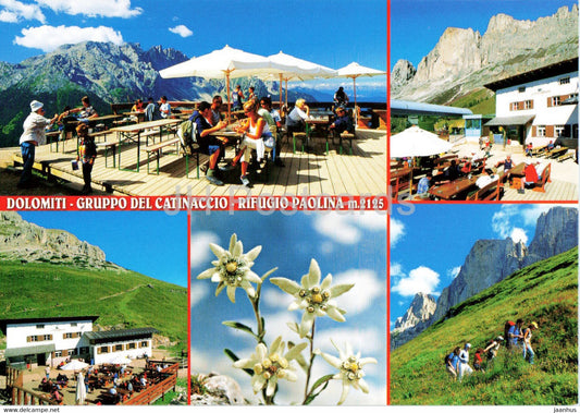 Rifugio Paolina - Dolomiti - Gruppo del Catinaccio - Edelweiss - flowers - Italy - unused - JH Postcards