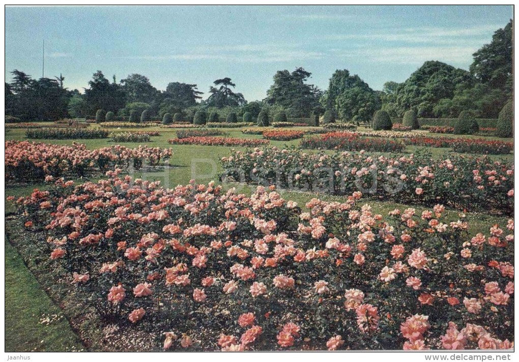 Rose Garden - Royal Botanic Gardens - Kew - England - United Kingdom - unused - JH Postcards
