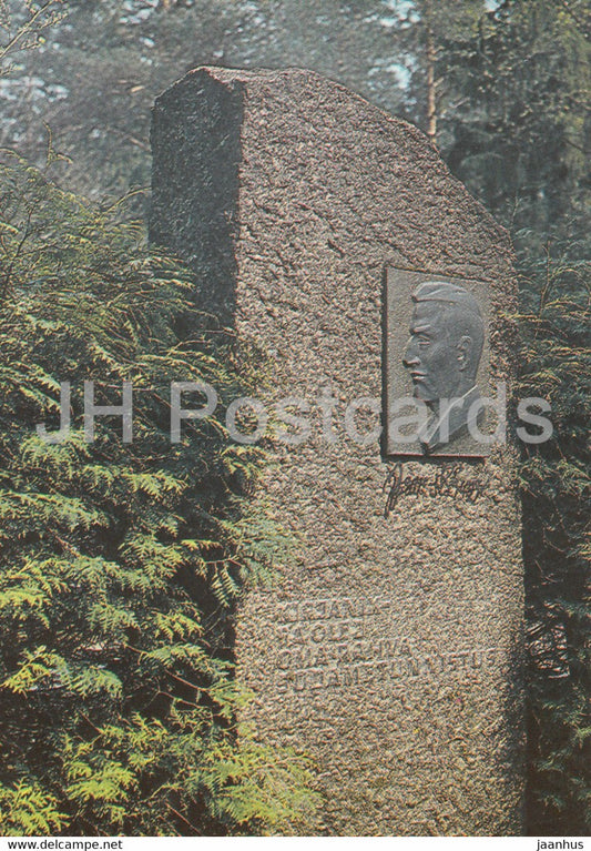 Elva - Estonian Poet Jaan Karner grave monument in the cemetery - 1989 - Estonia USSR - unused - JH Postcards