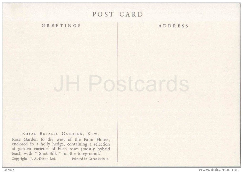 Rose Garden - Royal Botanic Gardens - Kew - England - United Kingdom - unused - JH Postcards