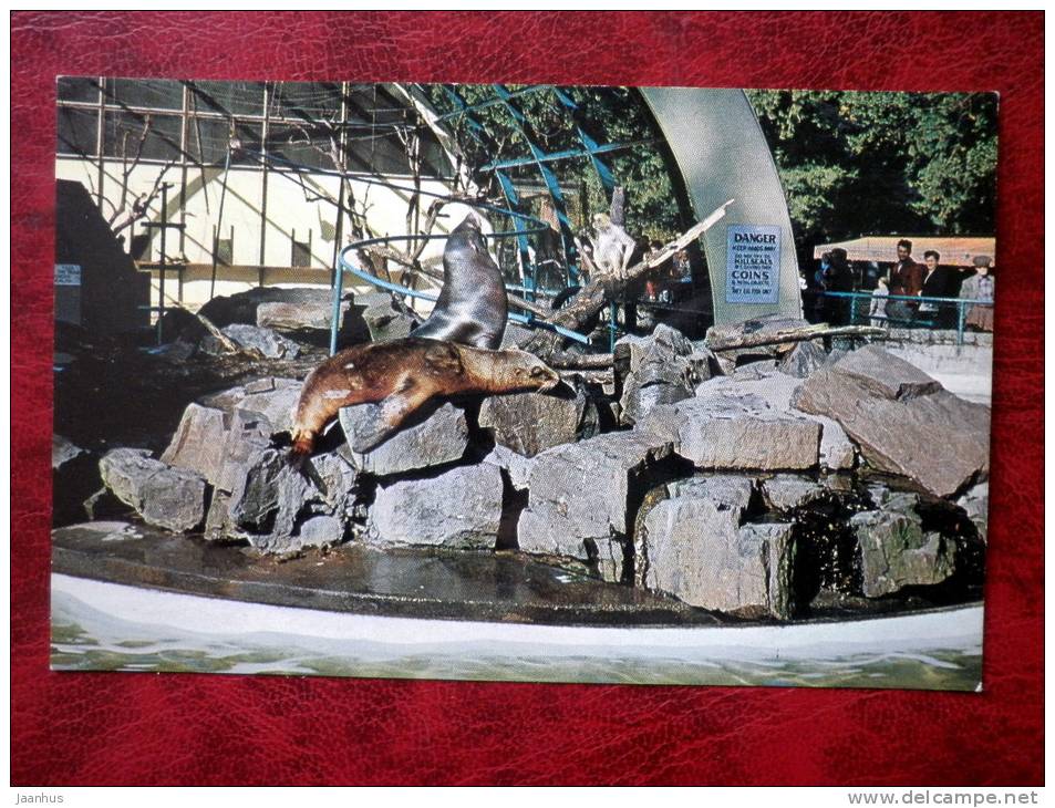 Monkeys, Seals and Sea Lions in Stanley Park - Vancouver - British Columbia - Canada - used - JH Postcards