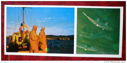 Barguzin wind - fishermen - Omul - fish - on Lake Baikal - 1975 - Russia USSR - unused - JH Postcards