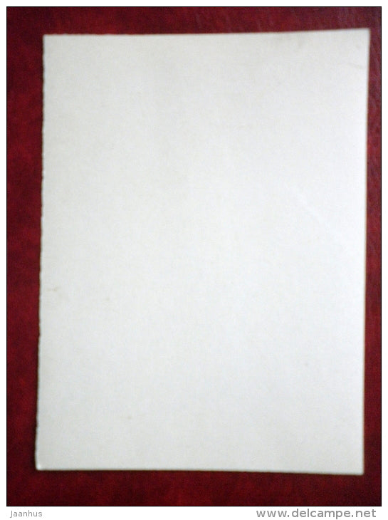 painting by Leonardo da Vinci - Madonna Litta - photo card - unused - JH Postcards