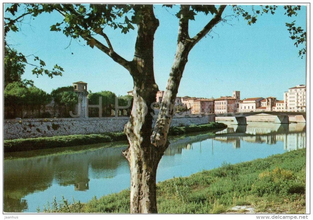 Lungarno river - Pisa - 67 - Italia - Italy - unused - JH Postcards