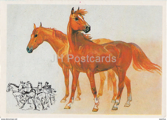 Russian Don horse - illustration by A. Glukharev - horses - animals - 1988 - Russia USSR - unused - JH Postcards