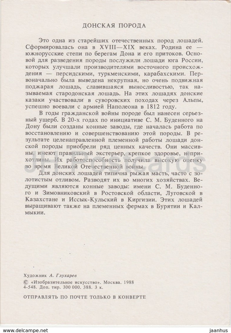 Russian Don horse - illustration by A. Glukharev - horses - animals - 1988 - Russia USSR - unused - JH Postcards