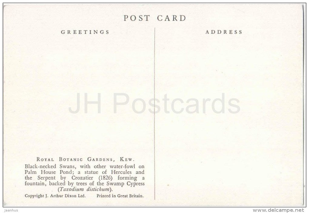 Palm House Pond - Black-Necked Swans - fountain - Royal Botanic Gardens - Kew - England - United Kingdom - unused - JH Postcards