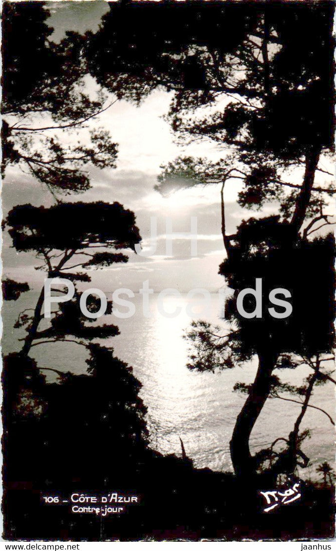 La Cote d'Azur - Contre Jour - 106 - old postcard - 1950 - France - used - JH Postcards