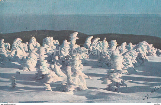 Brocken 1142 m - Vereiste Tannen am Hang - Brocken Hotel - old postcard - 1932 - Germany - used - JH Postcards