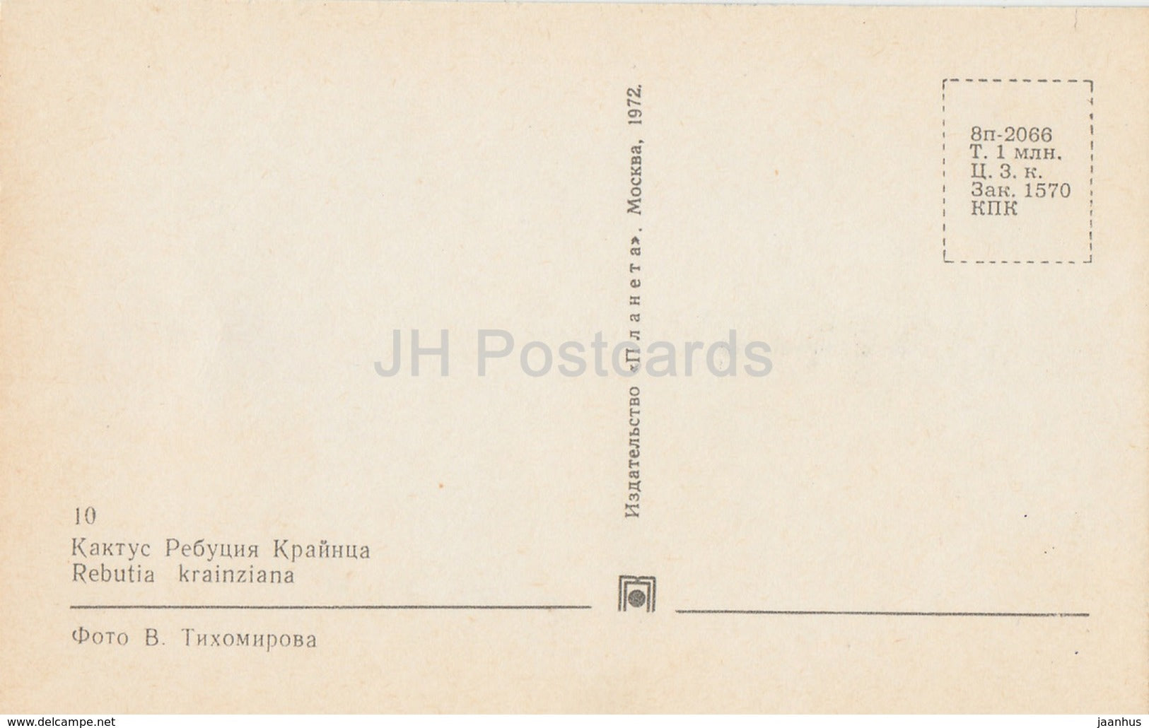 Rebutia krainziana - Cactus - Flowers - 1972 - Russia USSR - unused - JH Postcards