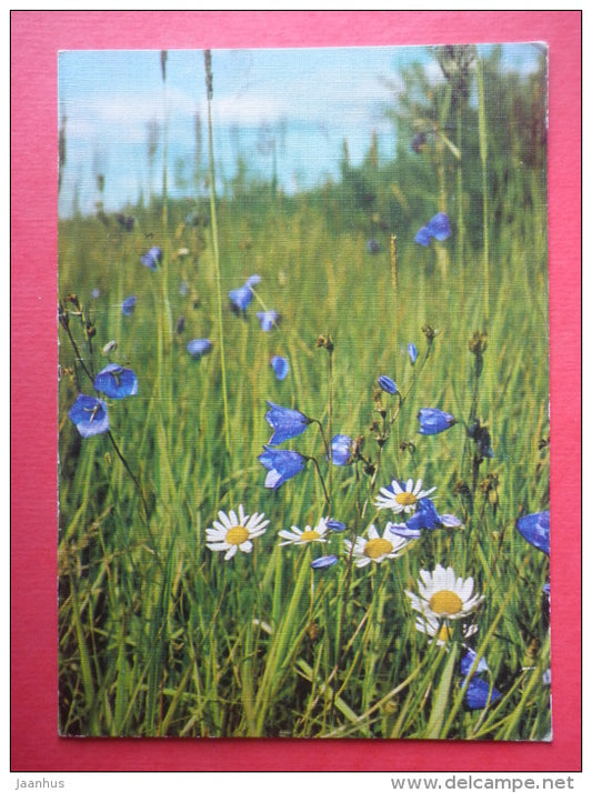 daisy - bells - flowers - Finland - sent from Finland Turku to Estonia USSR 1984 - JH Postcards