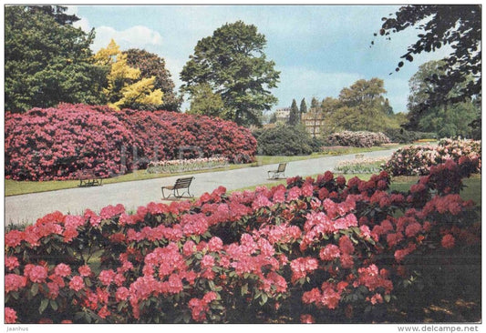 View along the Broad Walk - Rhododendrons - Royal Botanic Gardens - Kew - England - United Kingdom - unused - JH Postcards