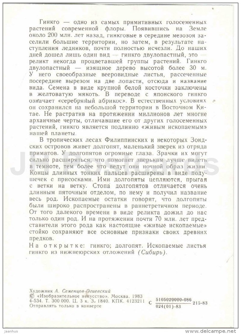 Tarsier - Ginkgo biloba - Protected Animals and Plants - 1983 - Russia USSR - unused - JH Postcards