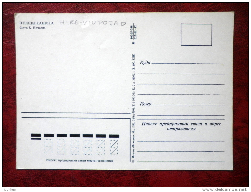 Common Buzzard - Buteo buteo - birds - 1982 - Russia - USSR - used - JH Postcards