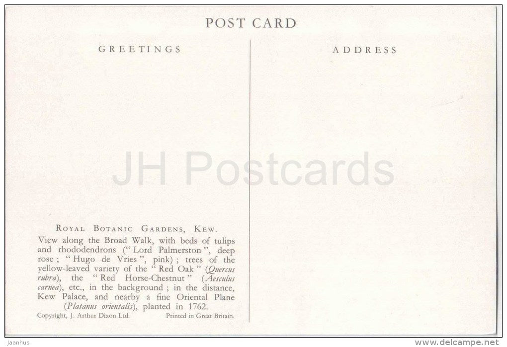 View along the Broad Walk - Rhododendrons - Royal Botanic Gardens - Kew - England - United Kingdom - unused - JH Postcards