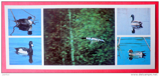 Common merganser - Greater scaup - Pintail - Pechora-Ilych Nature Reserve - Komi Republic - 1982 - Russia USSR - unused - JH Postcards