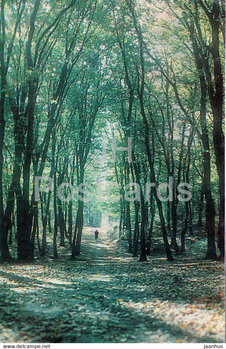 Stavropol - Tamanskaya Forest - 1984 - Russia USSR - unused - JH Postcards