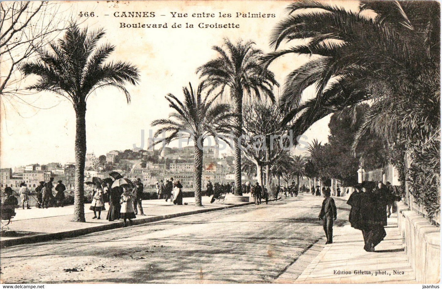 Cannes - Vue entre les Palmiers - Boulevard de la Croisette - 466 - old postcard - France - used - JH Postcards