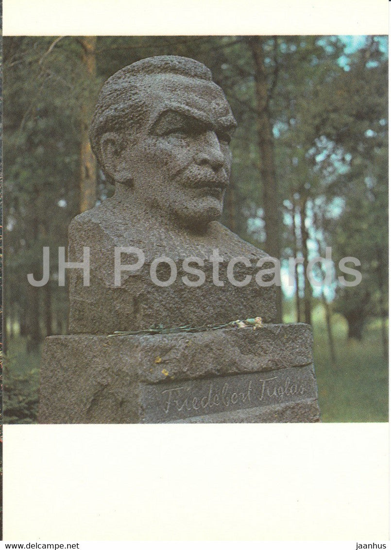 Elva - Estonian Writer Friedebert Tuglas bust - 1989 - Estonia USSR - unused - JH Postcards