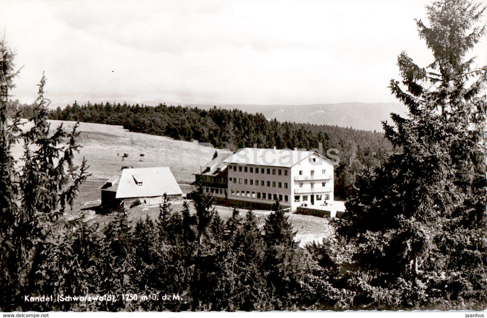 Berghotel Kandel - hotel - old postcard - Germany - unused - JH Postcards