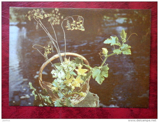 floral composition Surprize - pumpkin - flowers - plants - 1983 - Estonia - USSR - unused - JH Postcards