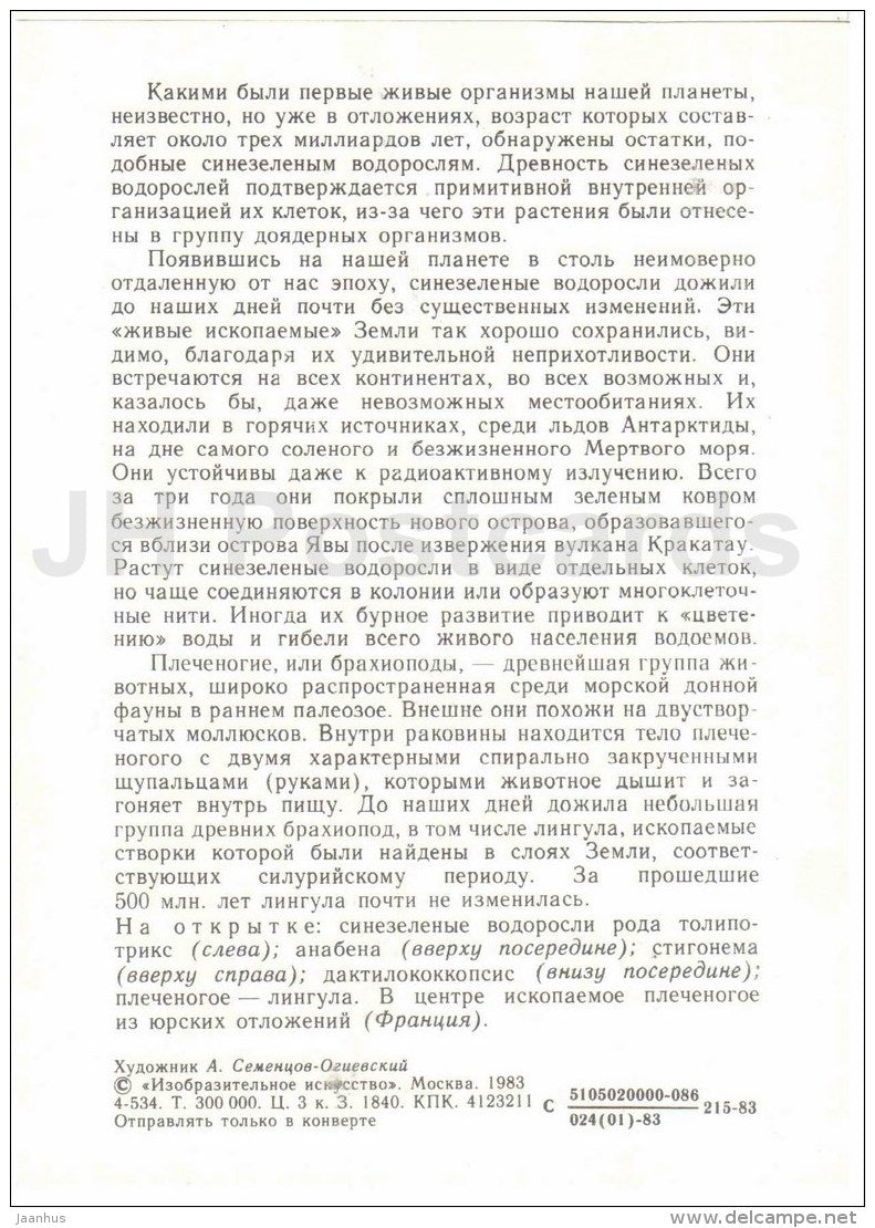 brachiopods - seaweed - Protected Animals and Plants - 1983 - Russia USSR - unused - JH Postcards