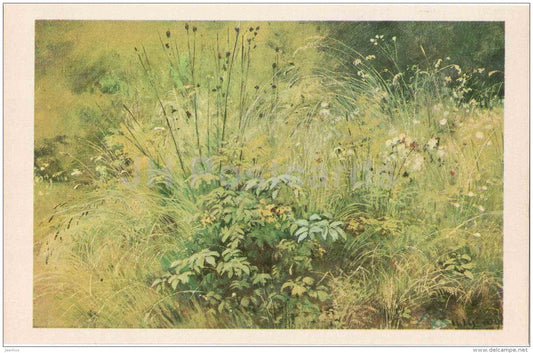 painting by Ivan Shishkin - Grasses . Study  , 1892 - The Russian Museum - russian art - unused - JH Postcards