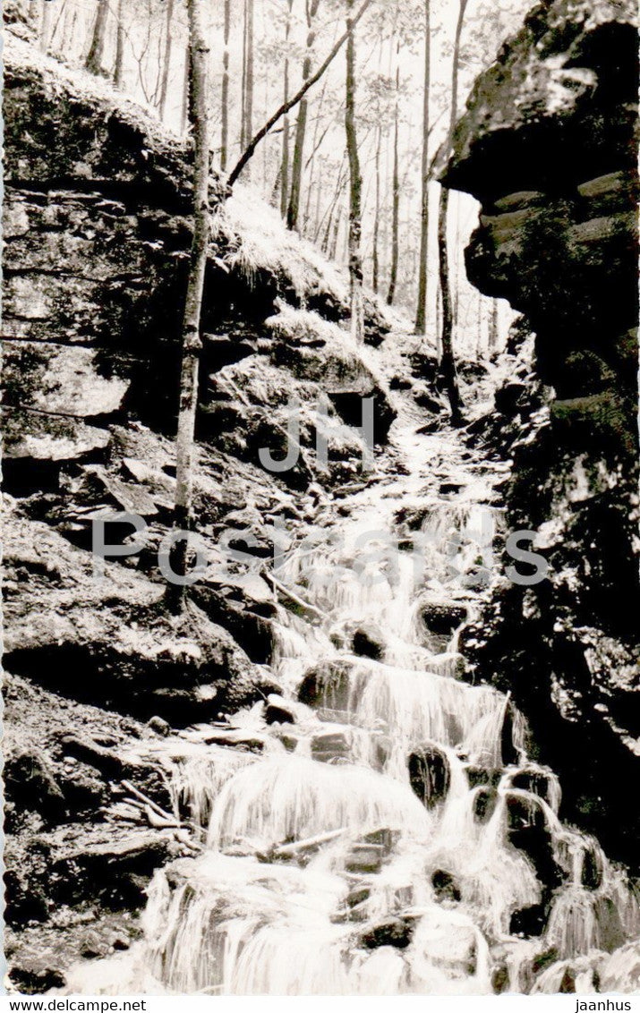 Wolfsschlucht bei Zwingenberg am Neckar - 1960 - Germany - used - JH Postcards