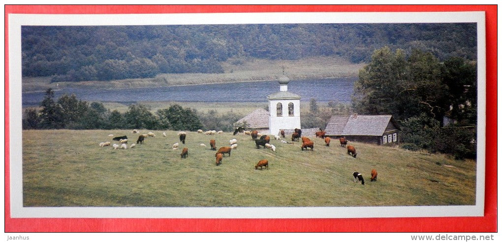 Maly village - cows - chapel - Pskov Land - 1983 - Russia USSR - unused - JH Postcards