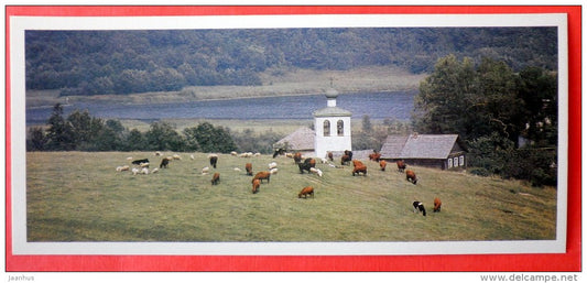 Maly village - cows - chapel - Pskov Land - 1983 - Russia USSR - unused - JH Postcards
