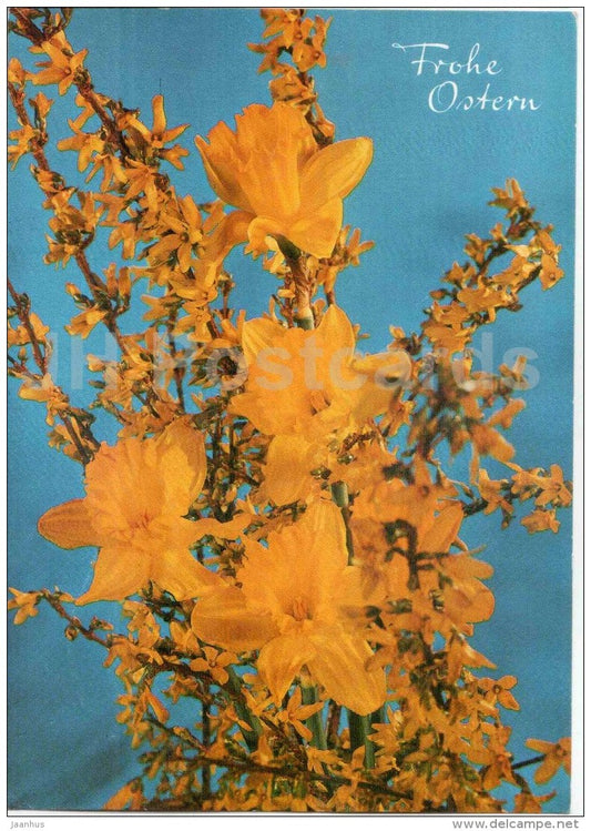Easter greeting card - Frohe Ostern - flowers - narcissus - daffodil - Avion Aggstein sent from Austria to Estonia 1984 - JH Postcards