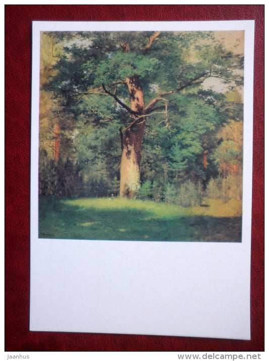 painting by Isaac Levitan, The Oak , 1880 - russian art - unused - JH Postcards