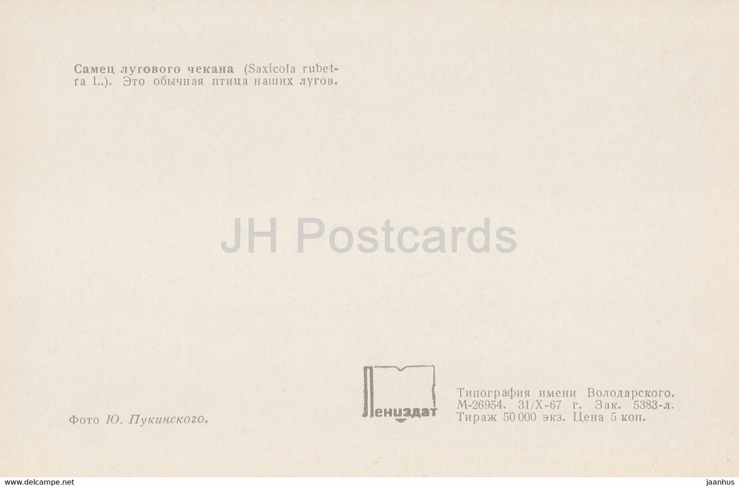 Whinchat - Male bird - Saxicola rubetra - birds - 1968 - Russia USSR - unused