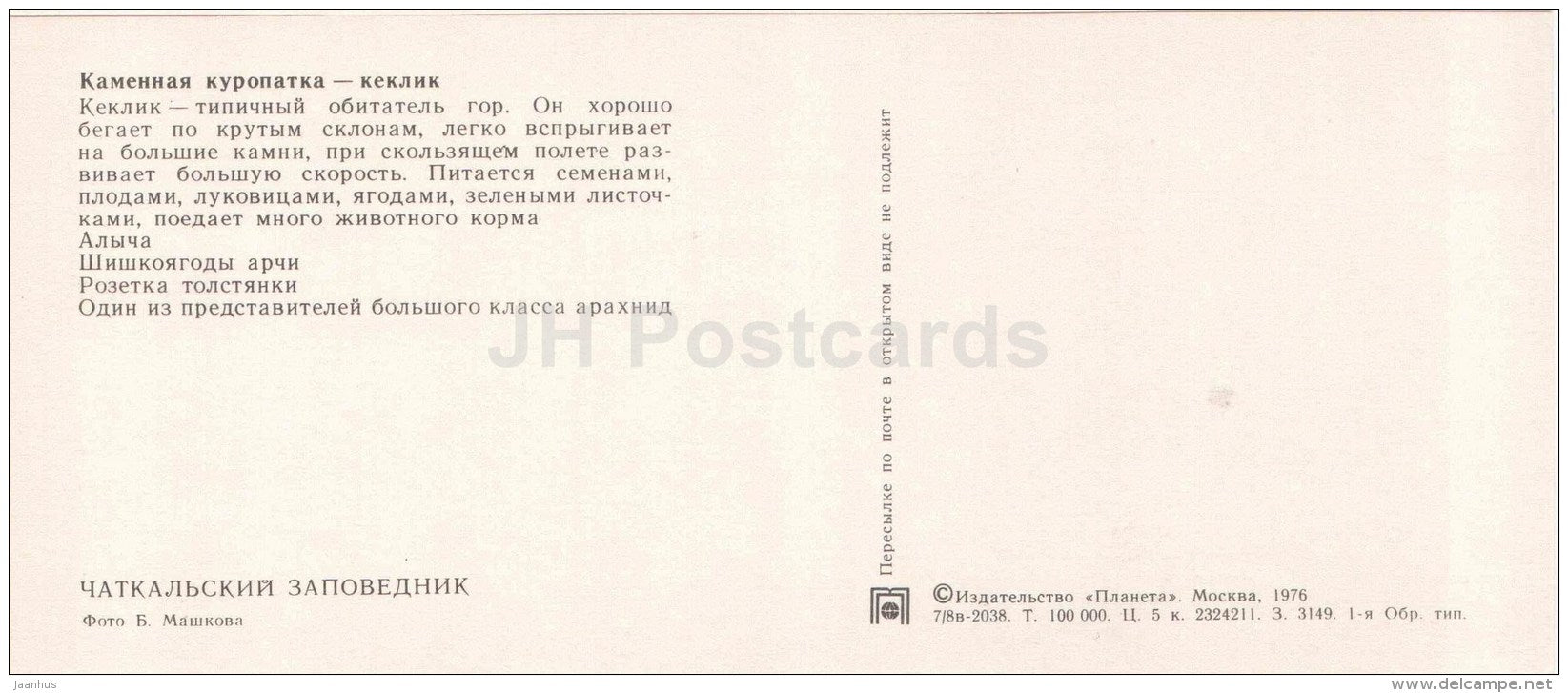 Chukar partridge - Alectoris chukar - cherry-plum - Chatkalsky National Park - 1976 - Uzbekistan USSR - unused - JH Postcards