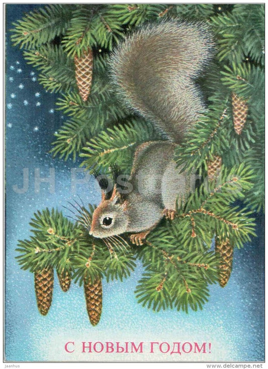 New Year Greeting card by A. Isakov - squirrel - fir cones - AVIA - postal stationery - 1977 - Russia USSR - used - JH Postcards