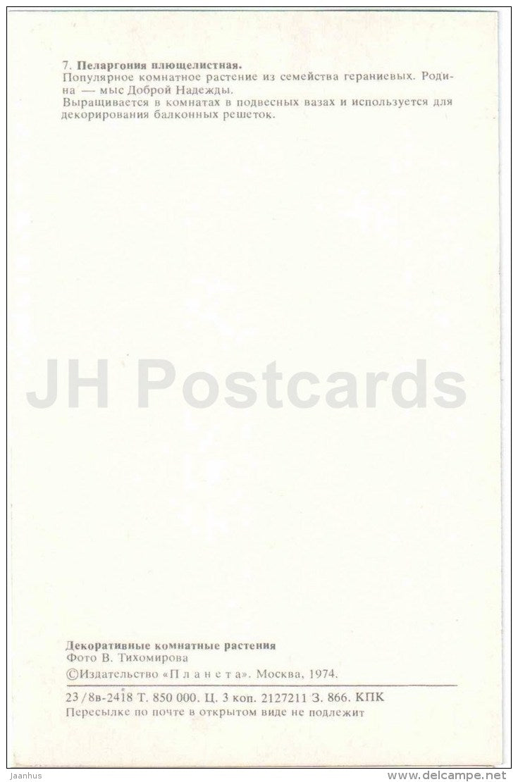 Pelargonium - flowers - 1974 - Russia USSR - unused - JH Postcards