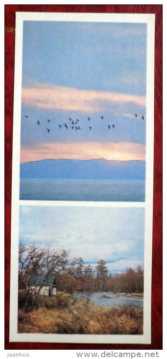 Tarkulik river - birds - Barguzinsky Nature Reserve - near lake Baikal - 1975 - Russia USSR - unused - JH Postcards