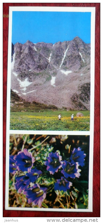 Alpine meadows - on Lake Baikal - 1975 - Russia USSR - unused - JH Postcards