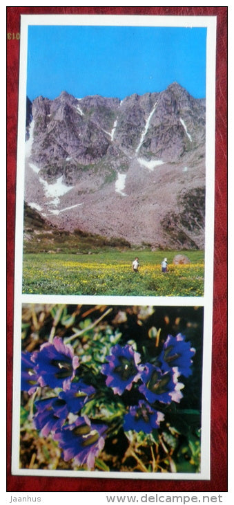 Alpine meadows - on Lake Baikal - 1975 - Russia USSR - unused - JH Postcards