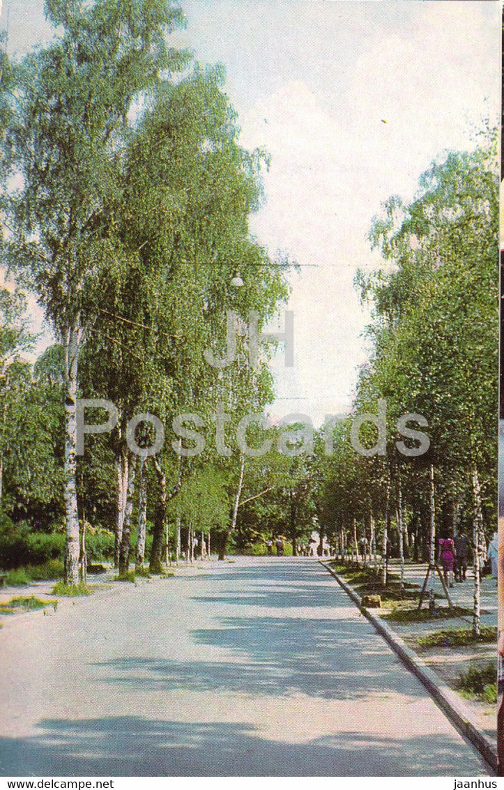 Moscow - Sokolniki - Birch Avenue - 1965 - Russia USSR - unused - JH Postcards