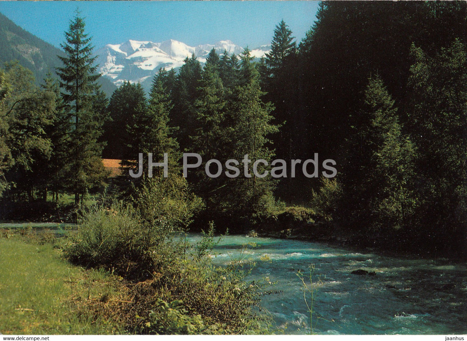 Kiental - Kiene - Blumlisalp - 31275 - 1983 - Switzerland - used - JH Postcards