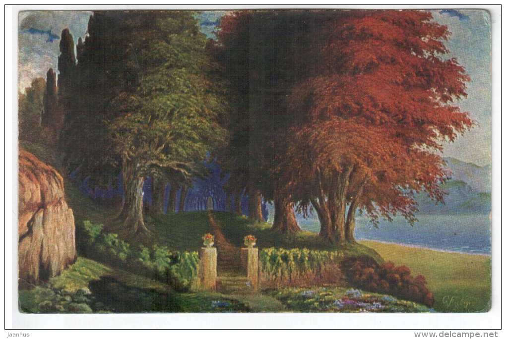 illustration by Fiebiger - road trees - Amag 1041 - old postcard - unused - JH Postcards