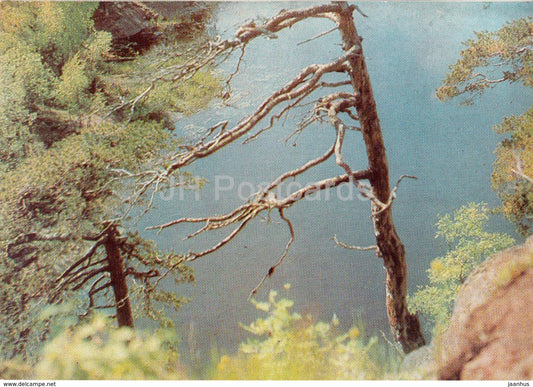 Valaam - Valamo - Tranquil Waters - 1973 - Russia USSR - unused - JH Postcards